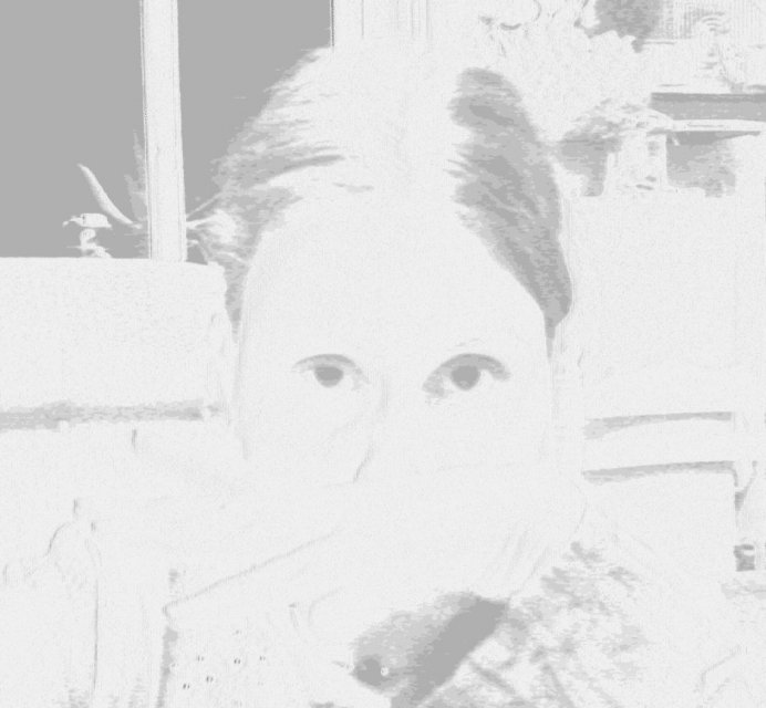 eyes.jpg, 102 KB
